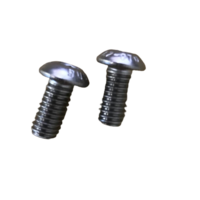 Folder Screw (Pair Set)