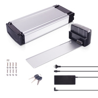 DEHAWK R1T E-Bike Battery Kit, Luggage Rack Battery Set, 36V, incl. Holder and Charger